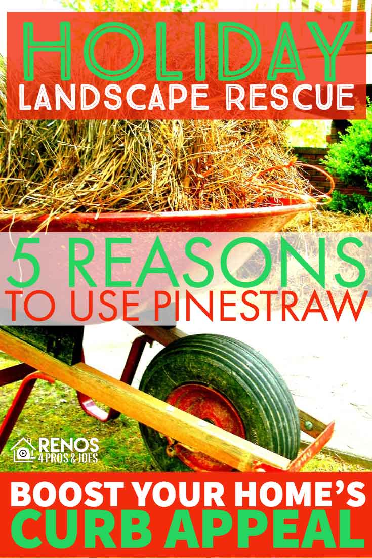 pine straw in a wheelbarrow in a yard