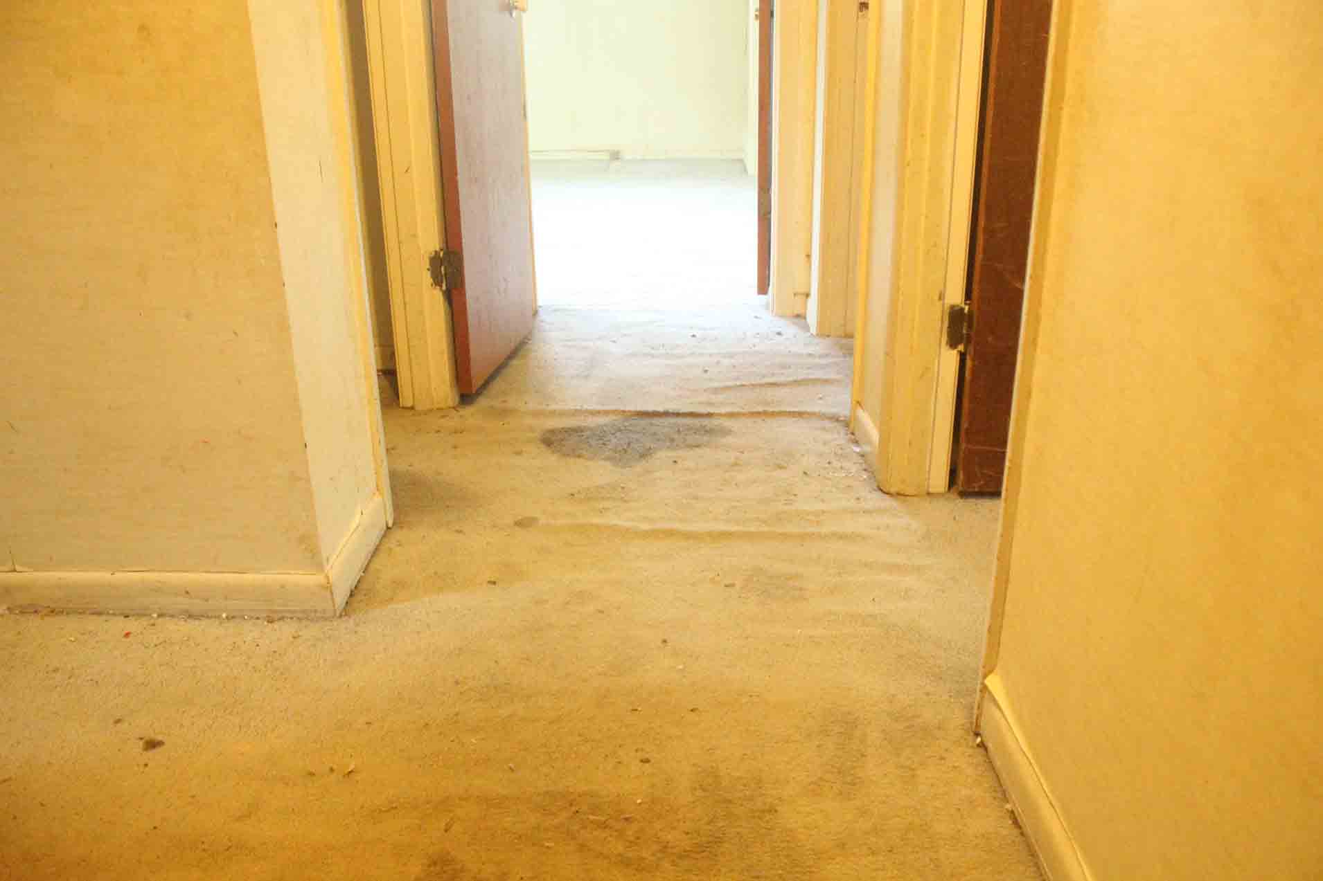 Hallway---Before-1